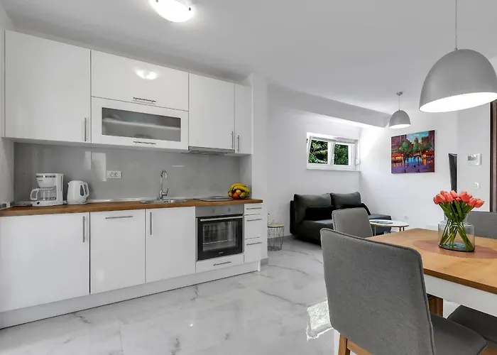 - Santric * 马卡尔斯卡